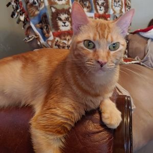 Meet your Posher, Edna